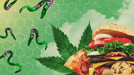Worms float around cannabis, pizza and a cheeseburger