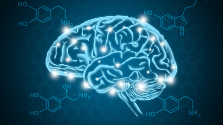 Human brain illustration with hormone biochemical concept background