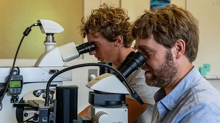 two researchers looking through microscopes