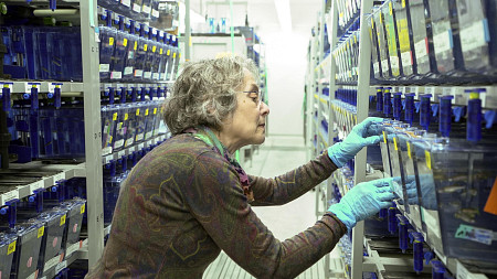 a woman with grayish hair wearing blue gloves works in a lab