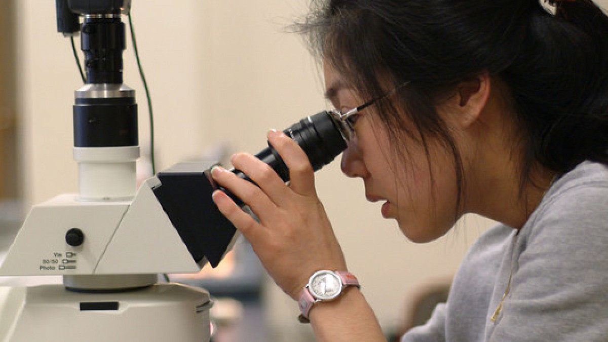 student using microscope