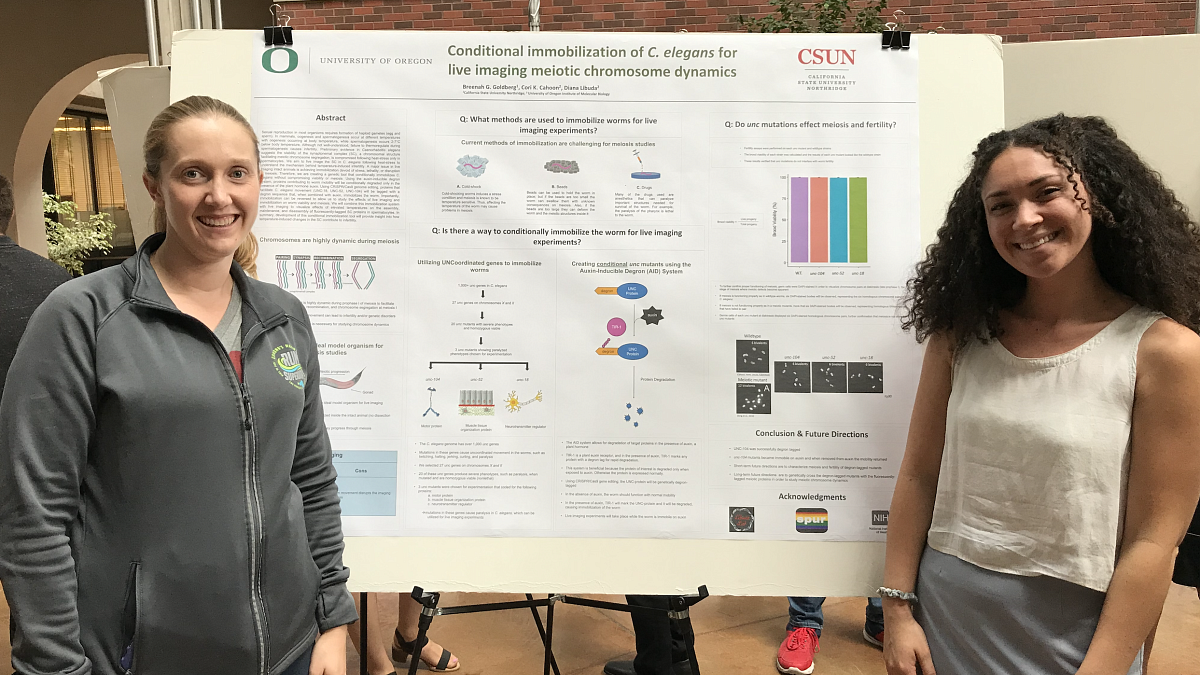 Students showcase their presentation